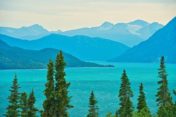 Canada-British Columbia Tutshi Lake and Coast Mountains landscape